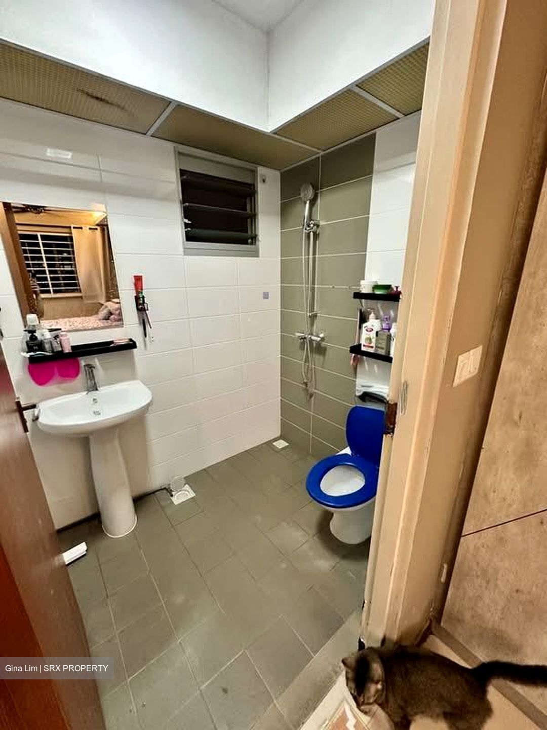 Blk 217B Boon Lay View (Jurong West), HDB 3 Rooms #564219031